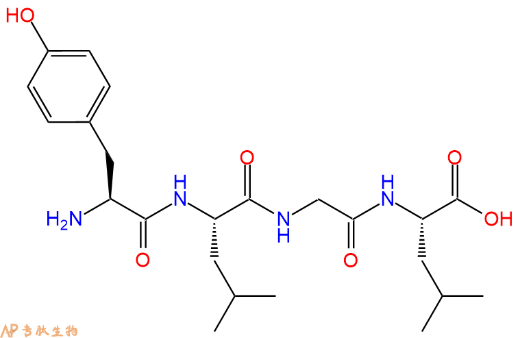 专肽生物产品H2N-Tyr-Leu-Gly-Leu-OH