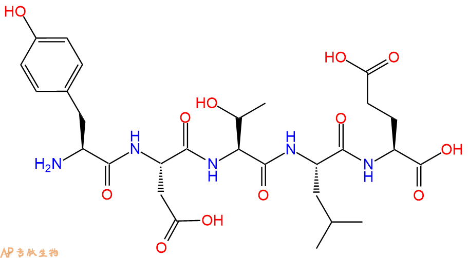 专肽生物产品H2N-Tyr-Asp-Thr-Leu-Glu-OH