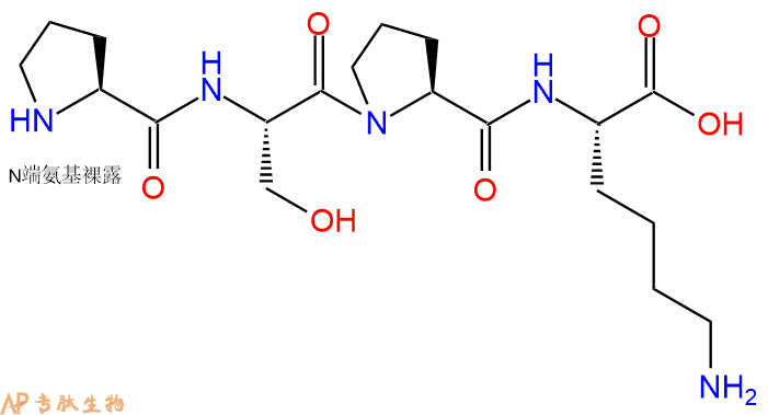专肽生物产品H2N-Pro-Ser-Pro-Lys-OH