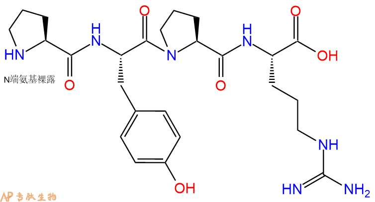 专肽生物产品H2N-Pro-Tyr-Pro-Arg-OH