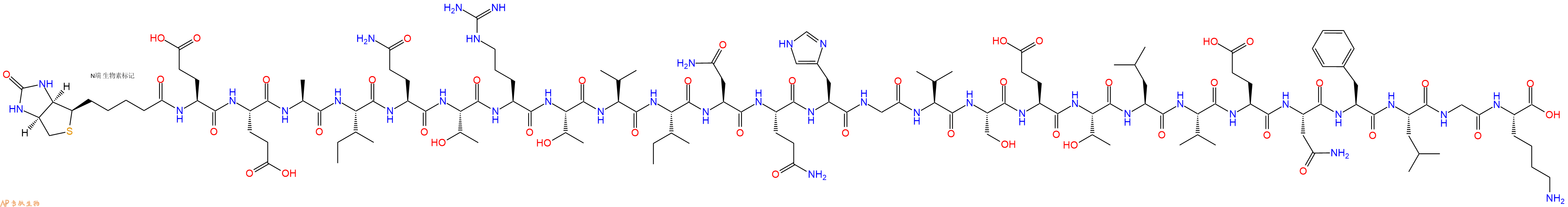 专肽生物产品Biotinyl-Glu-Glu-Ala-Ile-Gln-Thr-Arg-Thr-Val-Ile-Asn-Gln-His-Gly-Val-Ser-Glu-Thr-Leu-Val-Glu-Asn-Phe-Leu-Gly-Lys-OH