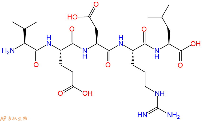 专肽生物产品H2N-Val-Glu-Asp-Arg-Leu-OH