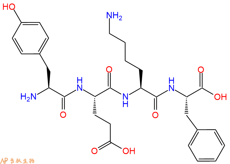 专肽生物产品H2N-Tyr-Glu-Lys-Phe-OH