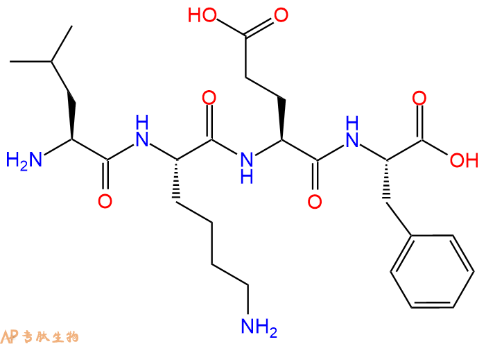 专肽生物产品H2N-Leu-Lys-Glu-Phe-OH