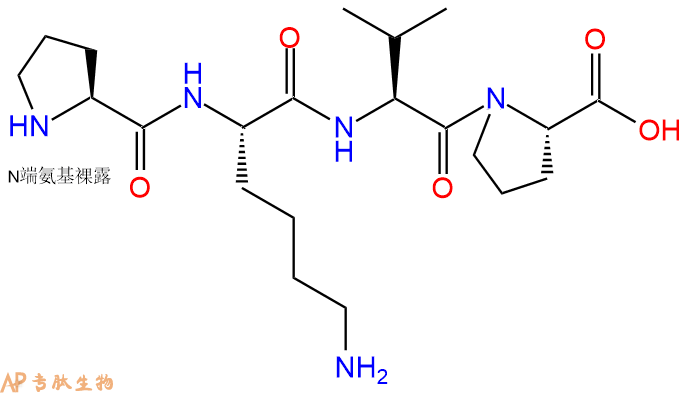 专肽生物产品H2N-Pro-Lys-Val-Pro-OH