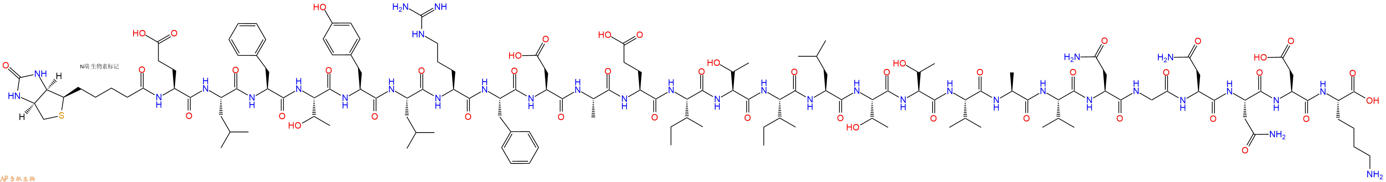 专肽生物产品Biotinyl-Glu-Leu-Phe-Thr-Tyr-Leu-Arg-Phe-Asp-Ala-Glu-Ile-Thr-Ile-Leu-Thr-Thr-Val-Ala-Val-Asn-Gly-Asn-Asn-Asp-Lys-OH