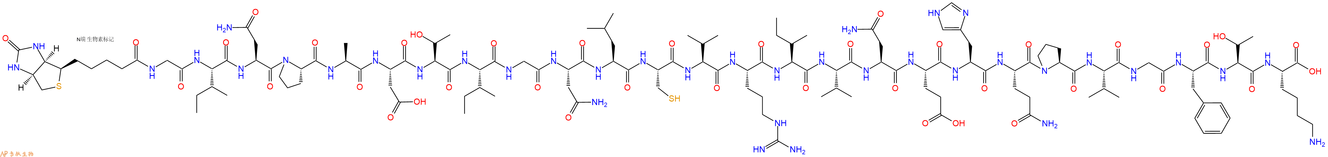 专肽生物产品Biotinyl-Gly-Ile-Asn-Pro-Ala-Asp-Thr-Ile-Gly-Asn-Leu-Cys-Val-Arg-Ile-Val-Asn-Glu-His-Gln-Pro-Val-Gly-Phe-Thr-Lys-OH
