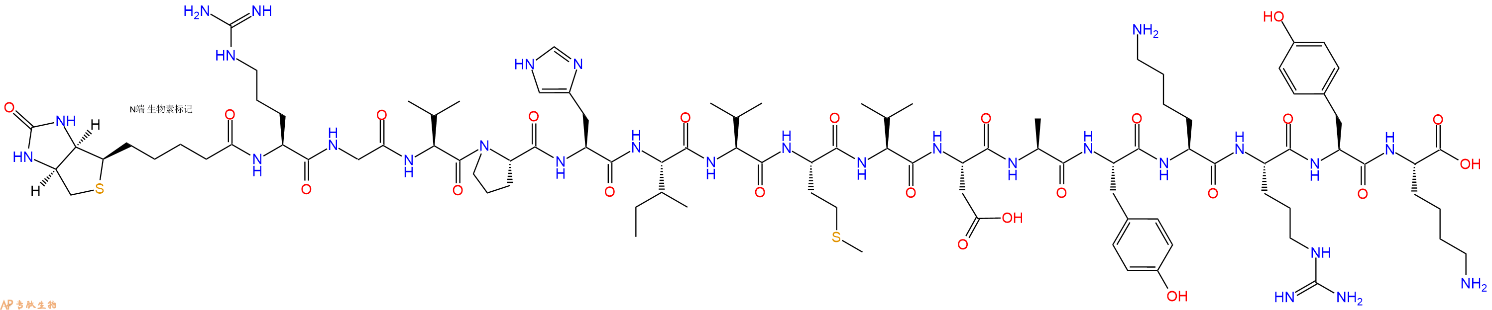 专肽生物产品Biotinyl-Arg-Gly-Val-Pro-His-Ile-Val-Met-Val-Asp-Ala-Tyr-Lys-Arg-Tyr-Lys-OH
