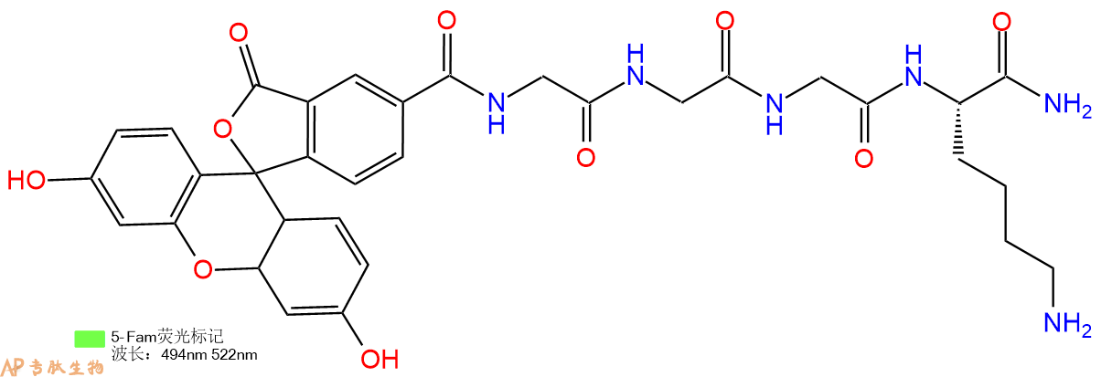 专肽生物产品5FAM-Gly-Gly-Gly-Lys-CONH2