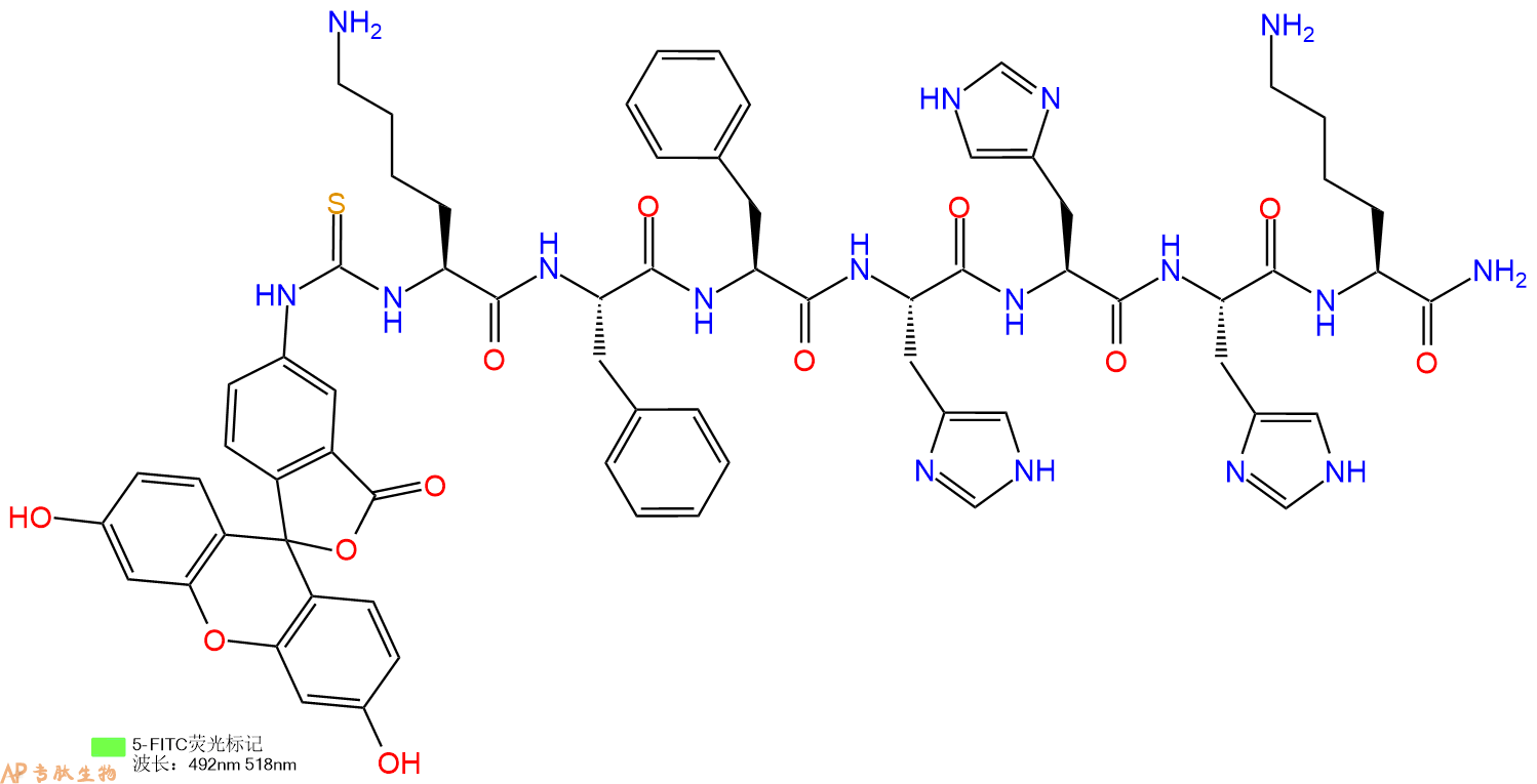 专肽生物产品5FITC-Lys-Phe-Phe-His-His-His-Lys-CONH2