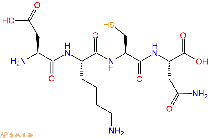 专肽生物产品H2N-Asp-Lys-Cys-Asn-OH