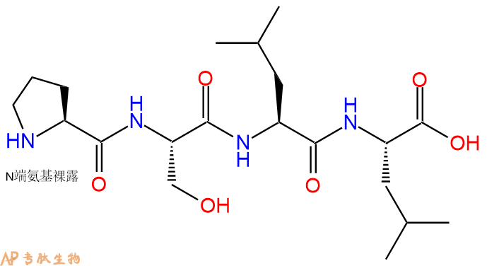专肽生物产品H2N-Pro-Ser-Leu-Leu-OH