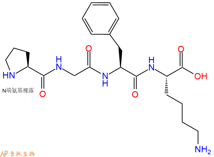 专肽生物产品H2N-Pro-Gly-Phe-Lys-OH