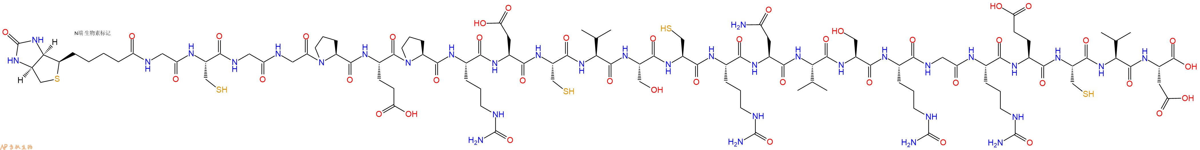 专肽生物产品Biotinyl-Gly-Cys-Gly-Gly-Pro-Glu-Pro-Cit-Asp-Cys-Val-Ser-Cys-Cit-Asn-Val-Ser-Cit-Gly-Cit-Glu-Cys-Val-Asp-OH