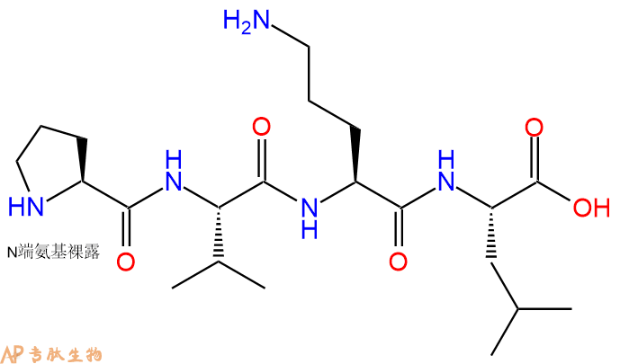 专肽生物产品H2N-Pro-Val-Orn-Leu-OH