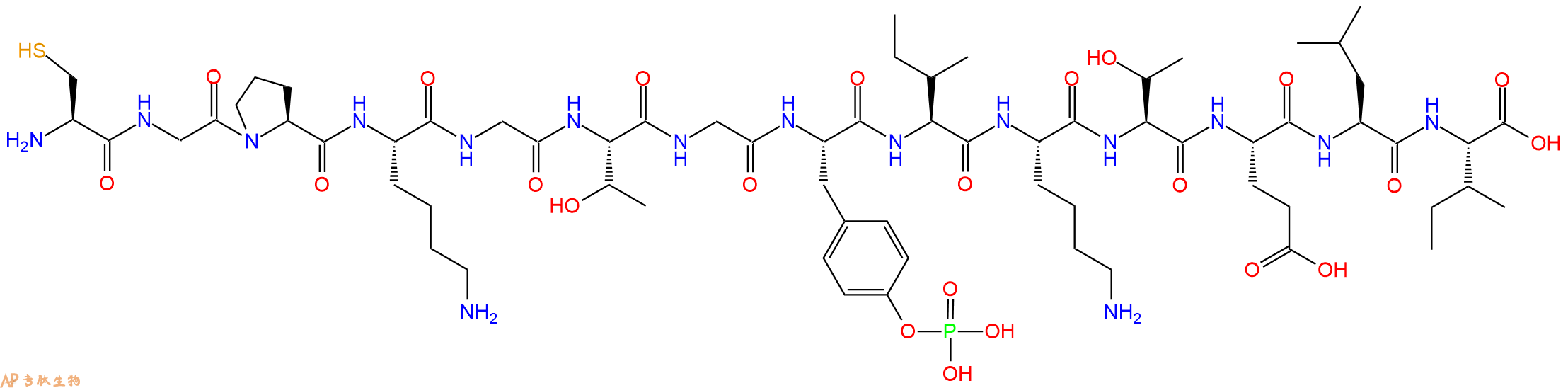 专肽生物产品H2N-Cys-Gly-Pro-Lys-Gly-Thr-Gly-Tyr(PO3H2)-Ile-Lys-Thr-Glu-Leu-Ile-OH