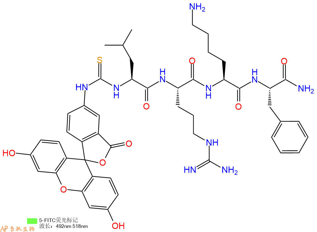 专肽生物产品5FITC-Leu-Arg-Lys-Phe-CONH2