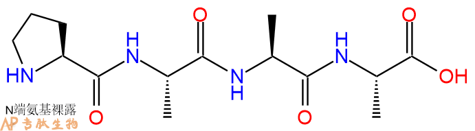 专肽生物产品H2N-Pro-Ala-Ala-Ala-OH