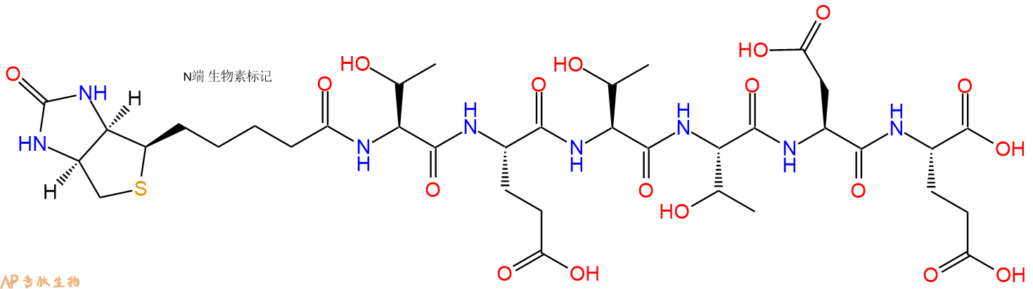 专肽生物产品Biotinyl-Thr-Glu-Thr-Thr-Asp-Glu-OH
