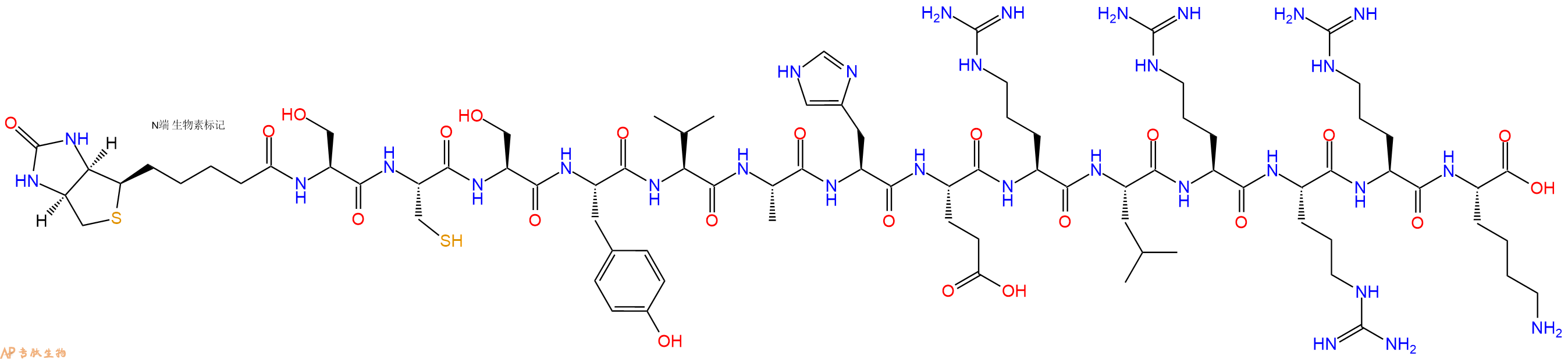 专肽生物产品Biotinyl-Ser-Cys-Ser-Tyr-Val-Ala-His-Glu-Arg-Leu-Arg-Arg-Arg-Lys-OH