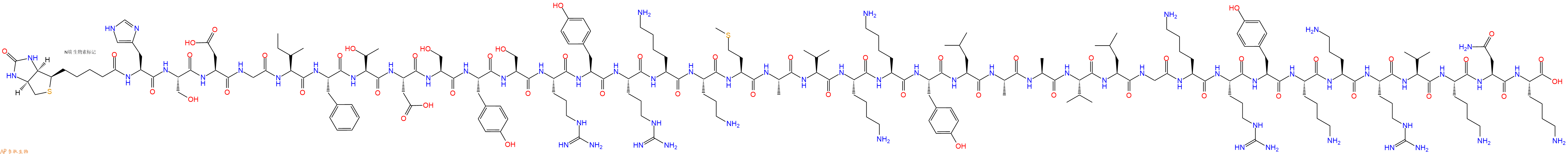 专肽生物产品Biotinyl-His-Ser-Asp-Gly-Ile-Phe-Thr-Asp-Ser-Tyr-Ser-Arg-Tyr-Arg-Lys-Orn-Met-Ala-Val-Lys-Lys-Tyr-Leu-Ala-Ala-Val-Leu-Gly-Lys-Arg-Tyr-Lys-Orn-Arg-Val-Lys-Asn-Lys-OH