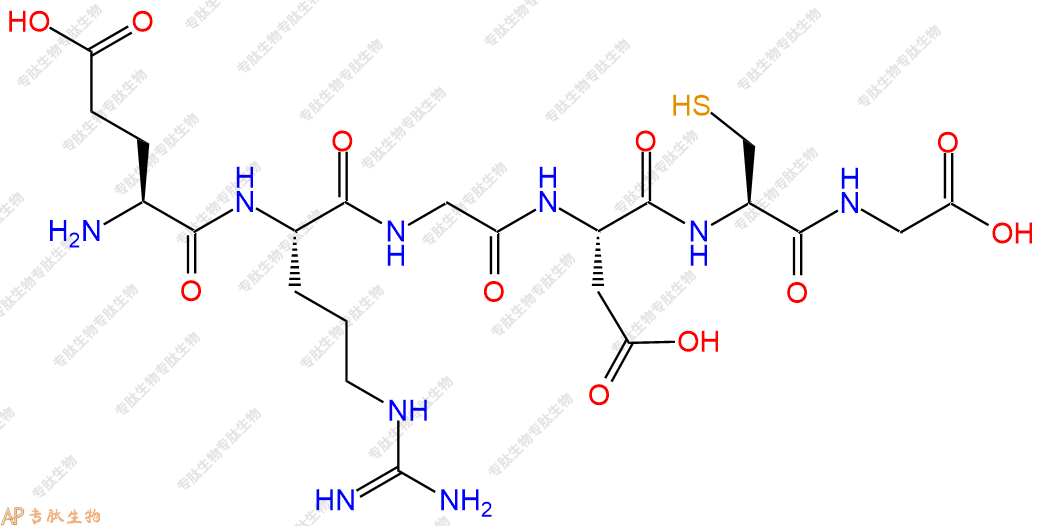 专肽生物产品H2N-Glu-Arg-Gly-Asp-Cys-Gly-OH