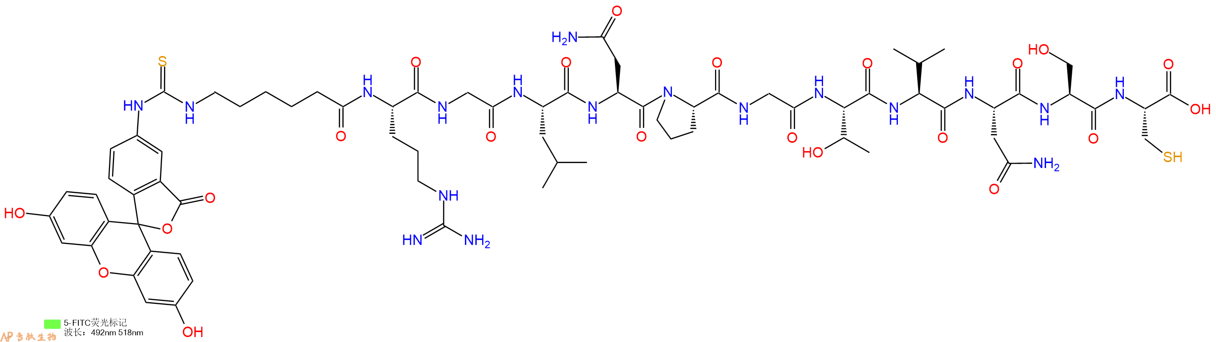 专肽生物产品5FITC-Ahx-Arg-Gly-Leu-Asn-Pro-Gly-Thr-Val-Asn-Ser-Cys-OH
