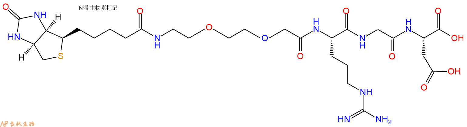 专肽生物产品Biotinyl-PEG2-Arg-Gly-Asp
