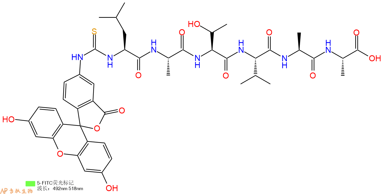 专肽生物产品5FITC-Leu-Ala-Thr-Val-Ala-Ala-OH