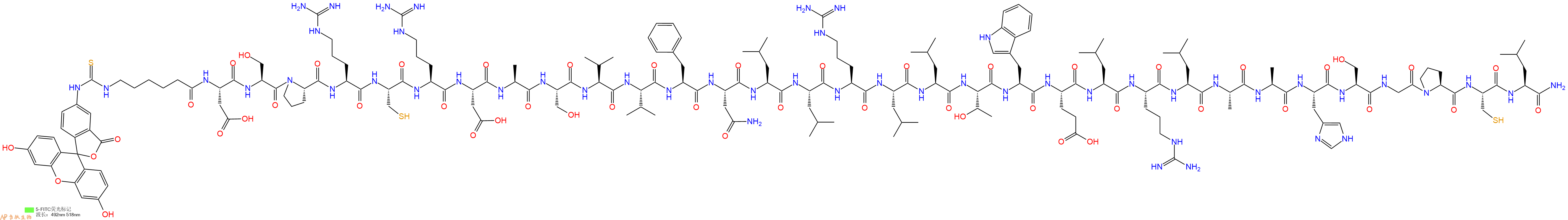 专肽生物产品5FITC-Ahx-Asp-Ser-Pro-Arg-Cys-Arg-Asp-Ala-Ser-Val-Val-Phe-Asn-Leu-Leu-Arg-Leu-Leu-Thr-Trp-Glu-Leu-Arg-Leu-Ala-Ala-His-Ser-Gly-Pro-Cys-Leu-CONH2