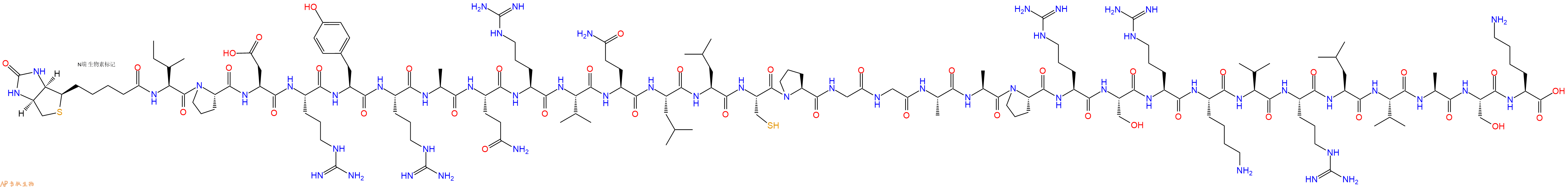 专肽生物产品Biotinyl-Ile-Pro-Asp-Arg-Tyr-Arg-Ala-Gln-Arg-Val-Gln-Leu-Leu-Cys-Pro-Gly-Gly-Ala-Ala-Pro-Arg-Ser-Arg-Lys-Val-Arg-Leu-Val-Ala-Ser-Lys-OH