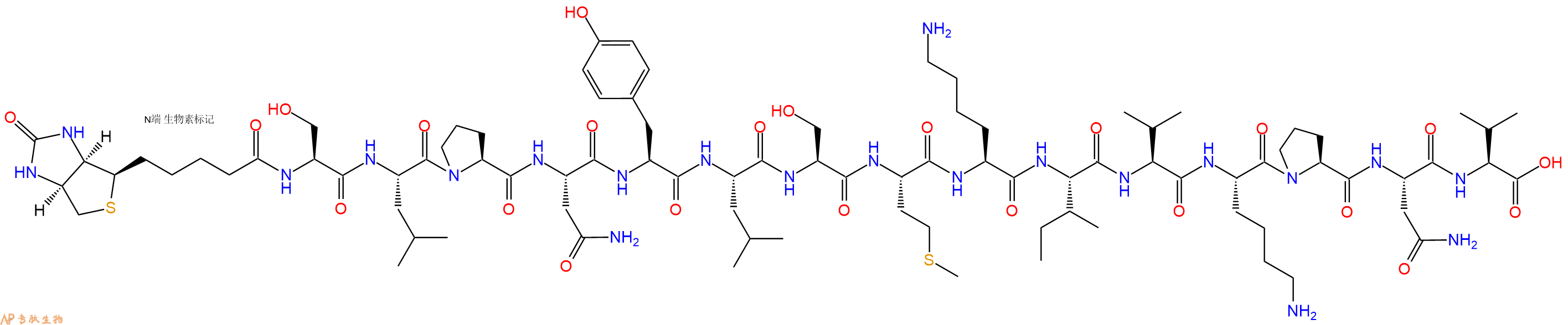 专肽生物产品Biotinyl-Ser-Leu-Pro-Asn-Tyr-Leu-Ser-Met-Lys-Ile-Val-Lys-Pro-Asn-Val-OH