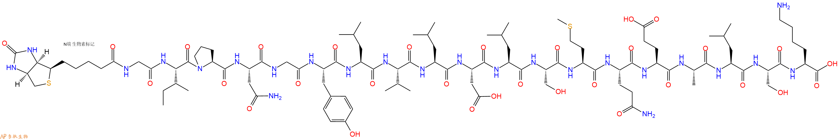 专肽生物产品Biotinyl-Gly-Ile-Pro-Asn-Gly-Tyr-Leu-Val-Leu-Asp-Leu-Ser-Met-Gln-Glu-Ala-Leu-Ser-Lys-OH