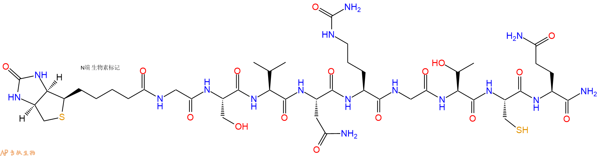 专肽生物产品Biotinyl-Gly-Ser-Val-Asn-Cit-Gly-Thr-Cys-Gln-CONH2