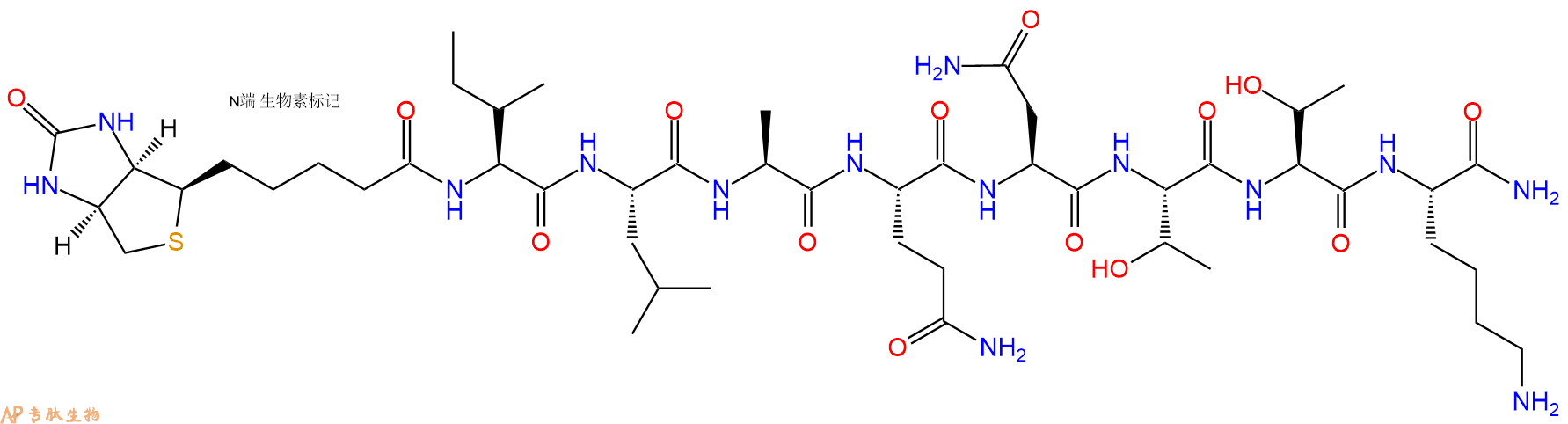 专肽生物产品Biotinyl-Ile-Leu-Ala-Gln-Asn-Thr-Thr-Lys-CONH2
