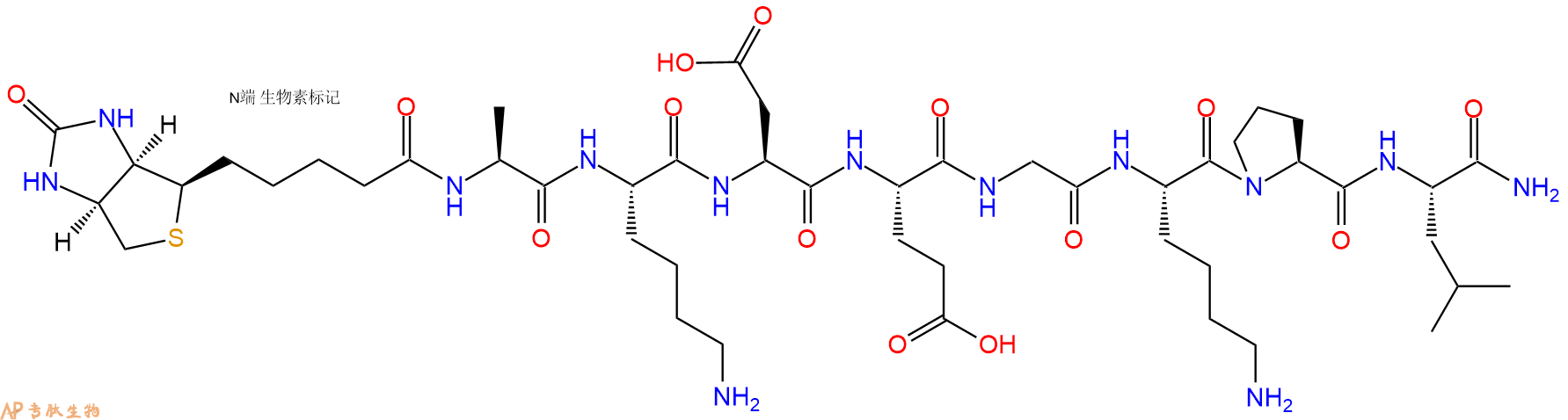 专肽生物产品Biotinyl-Ala-Lys-Asp-Glu-Gly-Lys-Pro-Leu-CONH2