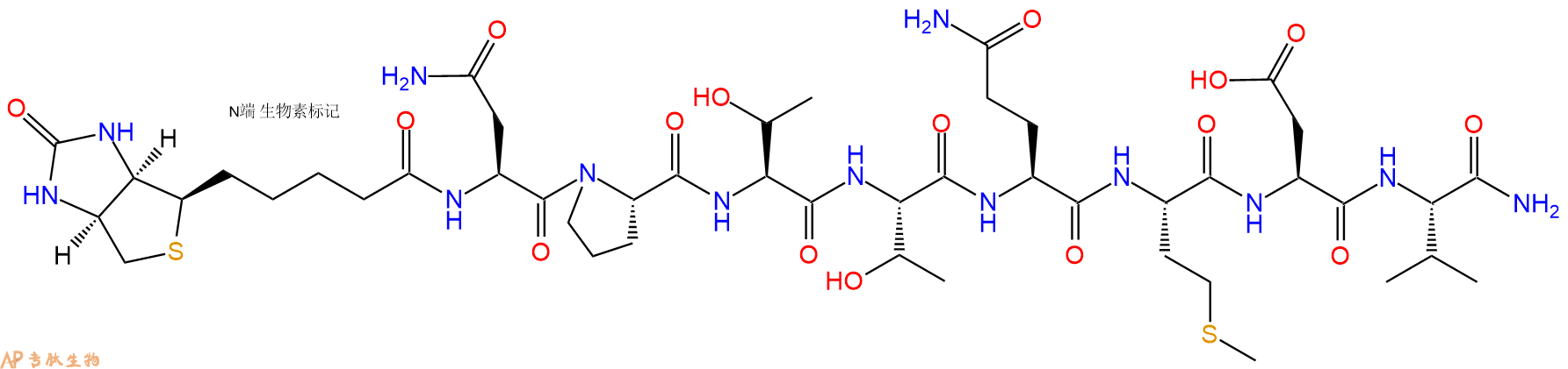 专肽生物产品Biotinyl-Asn-Pro-Thr-Thr-Gln-Met-Asp-Val-CONH2