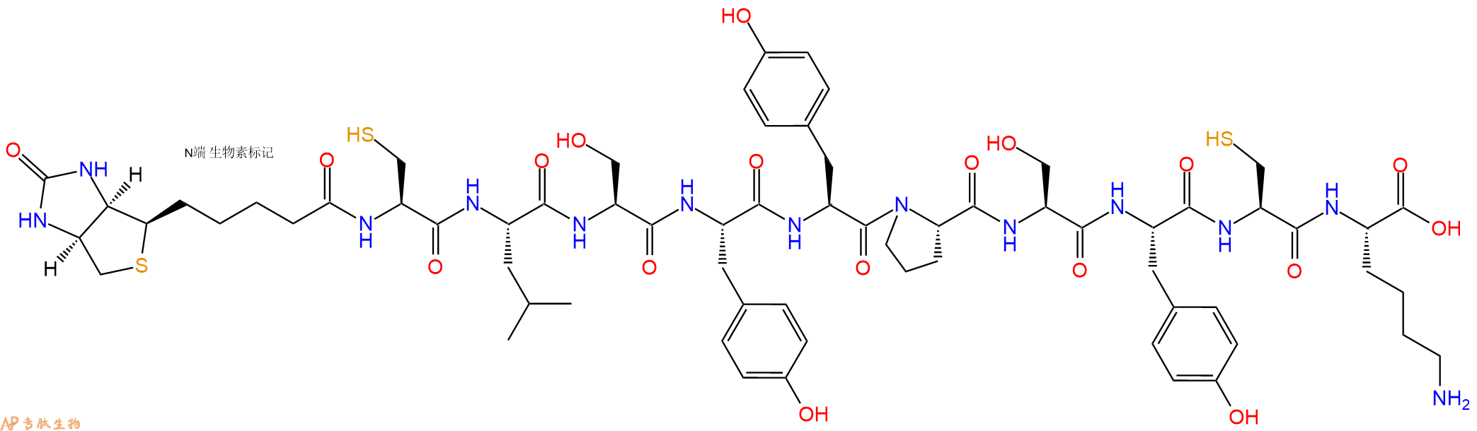 专肽生物产品Biotinyl-Cys-Leu-Ser-Tyr-Tyr-Pro-Ser-Tyr-Cys-Lys-OH