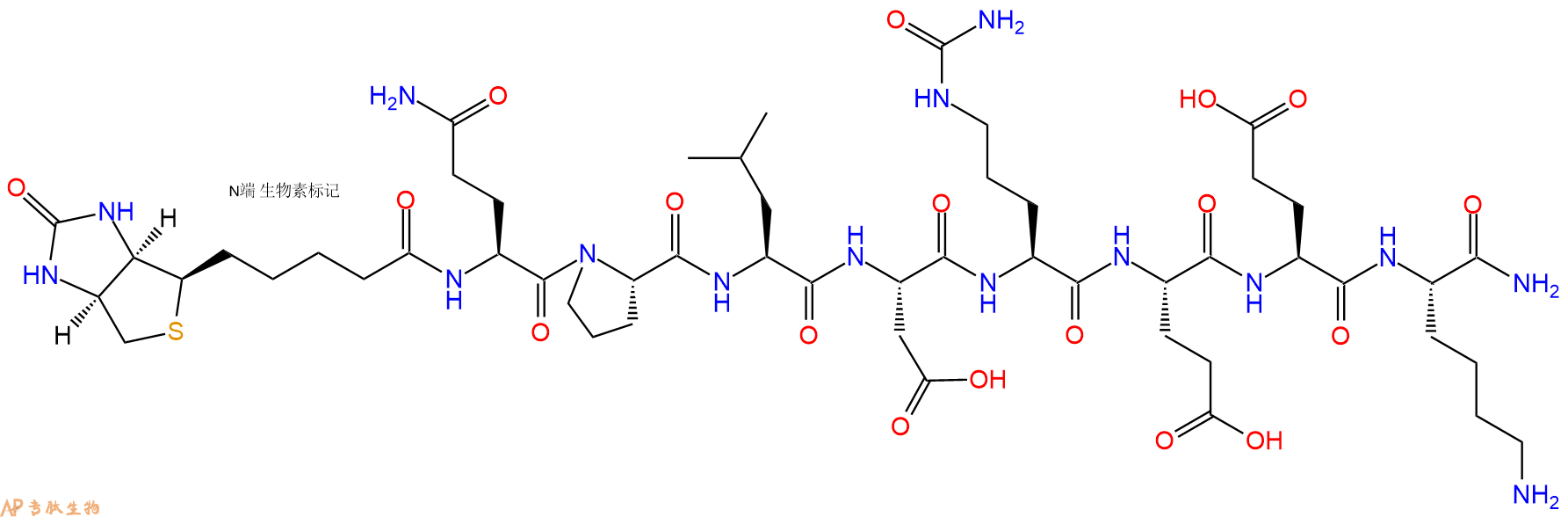 专肽生物产品Biotinyl-Gln-Pro-Leu-Asp-Cit-Glu-Glu-Lys-CONH2