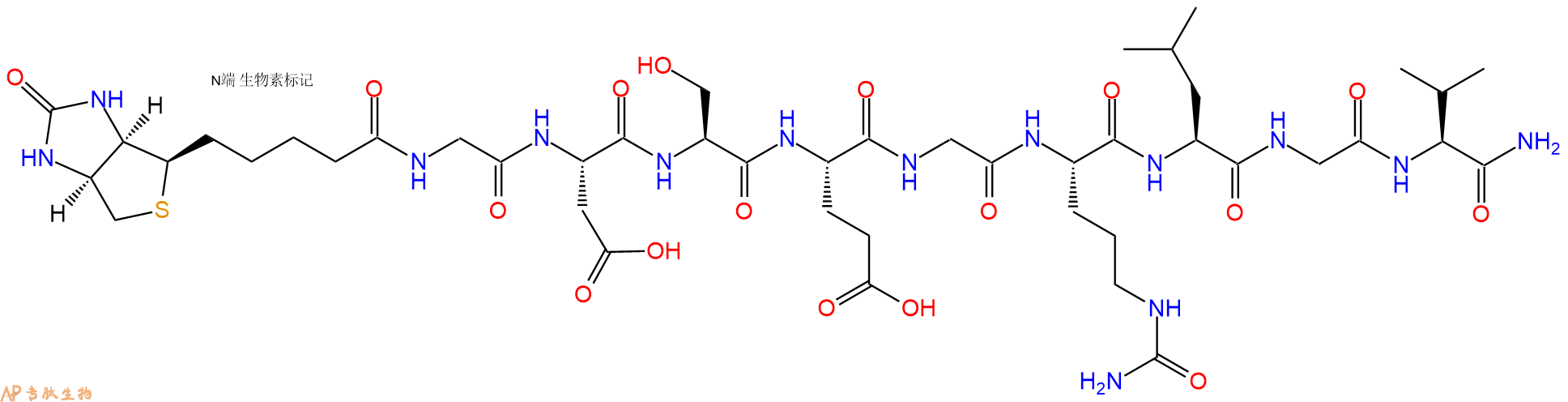 专肽生物产品Biotinyl-Gly-Asp-Ser-Glu-Gly-Cit-Leu-Gly-Val-CONH2
