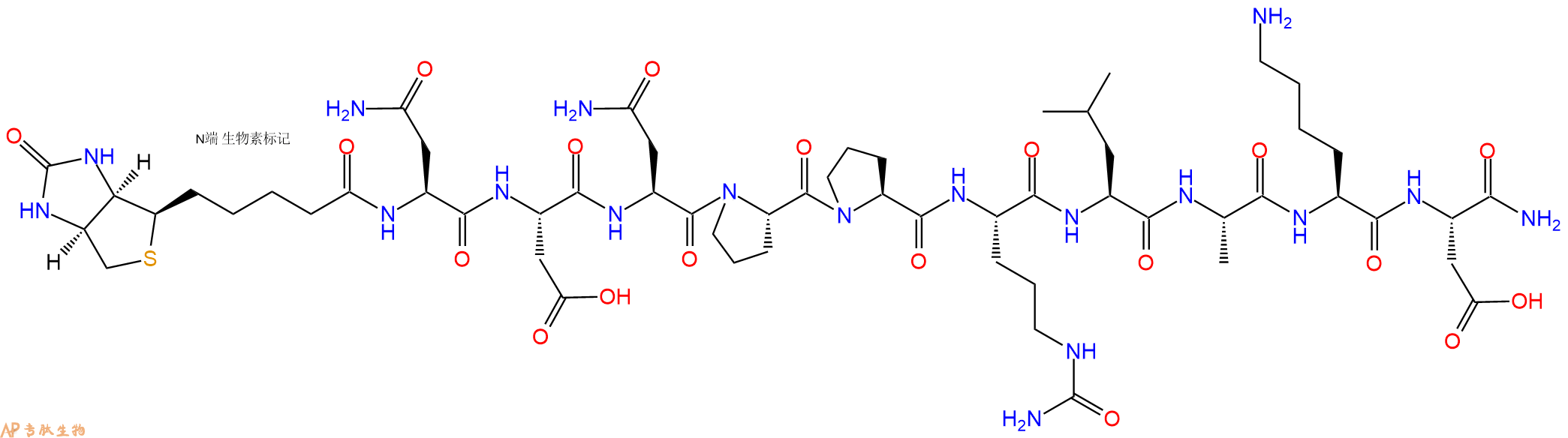 专肽生物产品Biotinyl-Asn-Asp-Asn-Pro-Pro-Cit-Leu-Ala-Lys-Asp-CONH2