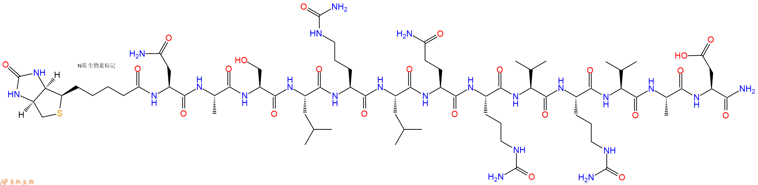 专肽生物产品Biotinyl-Asn-Ala-Ser-Leu-Cit-Leu-Gln-Cit-Val-Cit-Val-Ala-Asp-CONH2