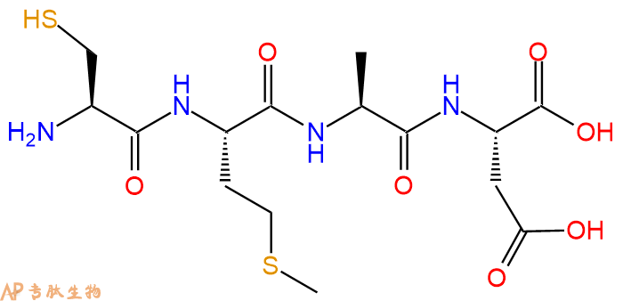 专肽生物产品H2N-Cys-Met-Ala-Asp-OH