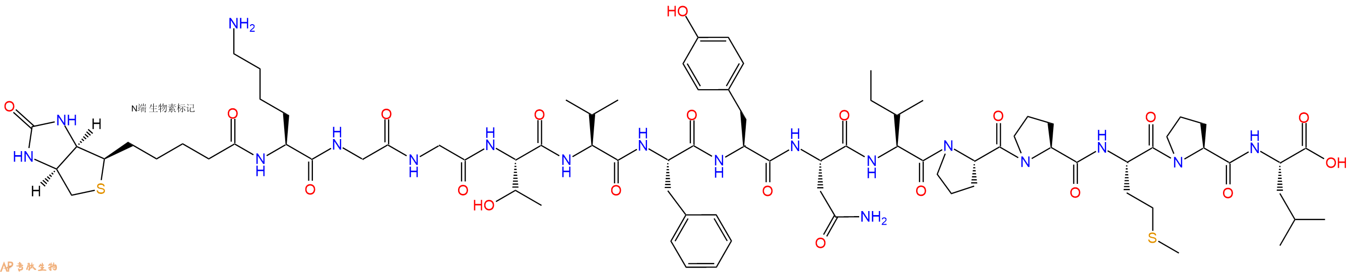 专肽生物产品Biotinyl-Lys-Gly-Gly-Thr-Val-Phe-Tyr-Asn-Ile-Pro-Pro-Met-Pro-Leu-OH