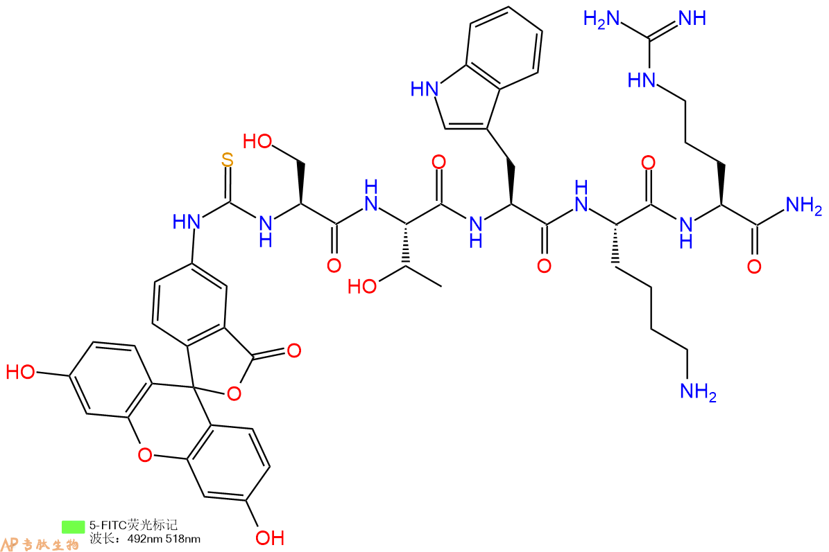专肽生物产品5FITC-Ser-Thr-Trp-Lys-Arg-CONH2