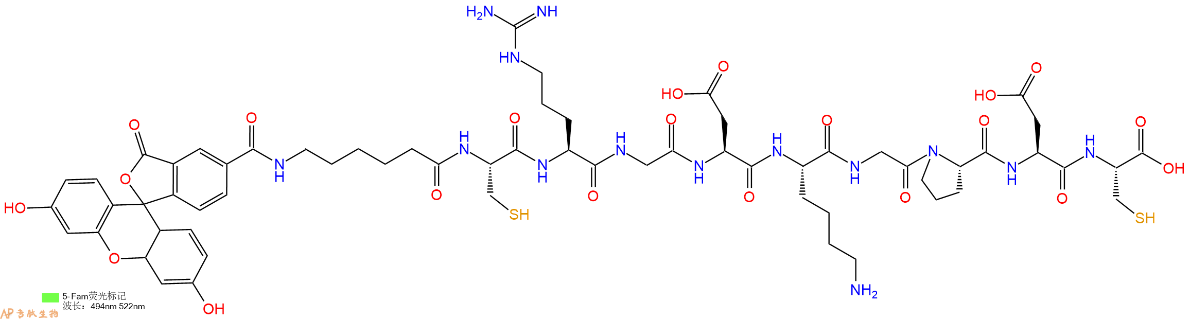 专肽生物产品5FAM-Ahx-Cys-Arg-Gly-Asp-Lys-Gly-Pro-Asp-Cys-OH