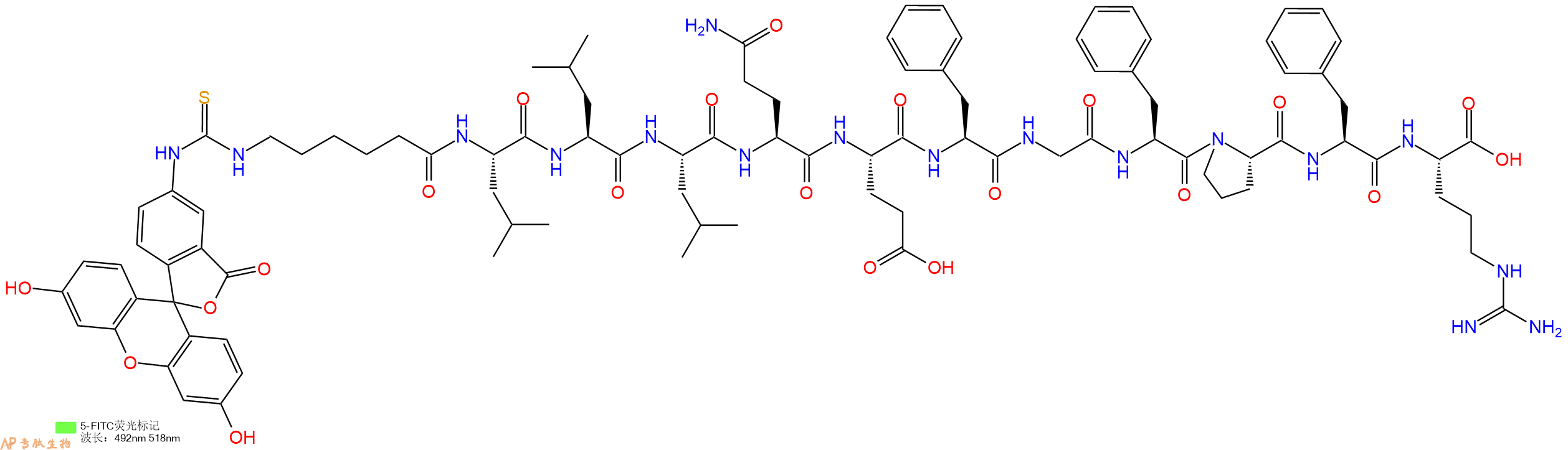 专肽生物产品5FITC-Ahx-Leu-Leu-Leu-Gln-Glu-Phe-Gly-Phe-Pro-Phe-Arg-OH