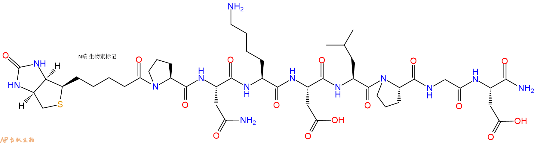 专肽生物产品Biotinyl-Pro-Asn-Lys-Asp-Leu-Pro-Gly-Asp-CONH2