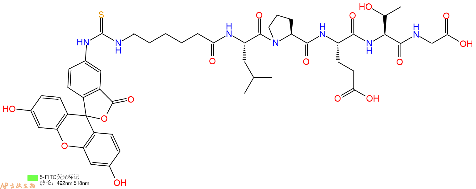 专肽生物产品5FITC-Ahx-Leu-Pro-Glu-Thr-Gly-OH