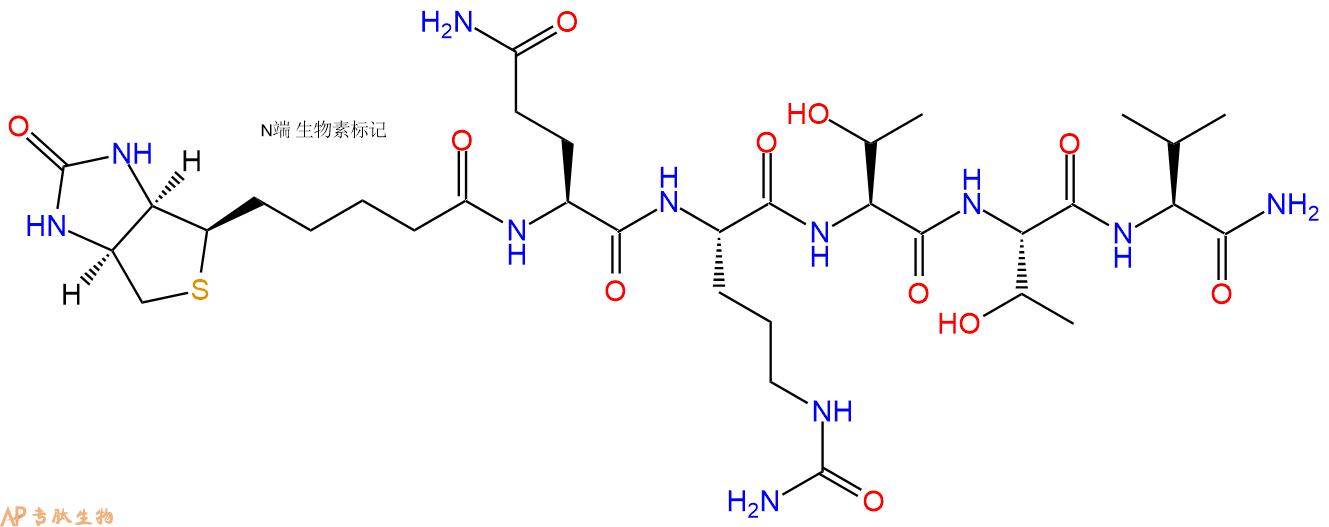 专肽生物产品Biotinyl-Gln-Cit-Thr-Thr-Val-CONH2